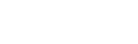 logo-birdeye 1